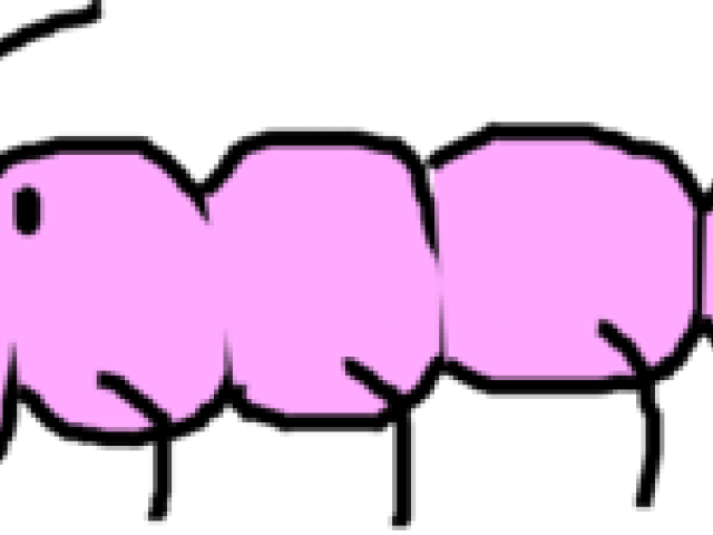 Caterpillar Clipart Pink - Caterpillar Clipart Pink (640x480)
