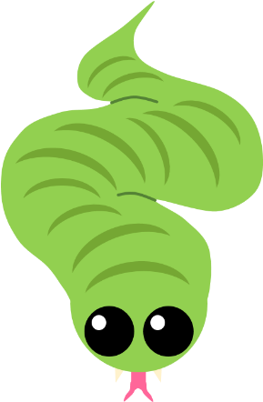 Snake - Snake (500x500)