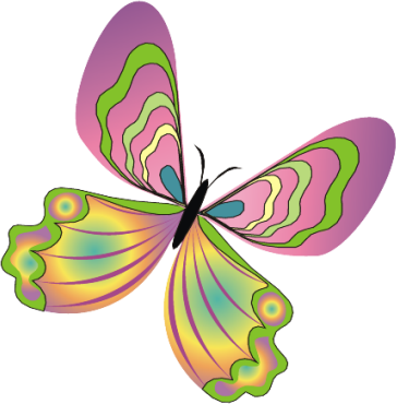 Mariposas Libélulas - Mariposas Libélulas (364x370)