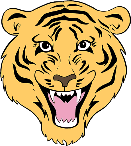 How To Draw Tiger - How To Draw Tiger (678x600)