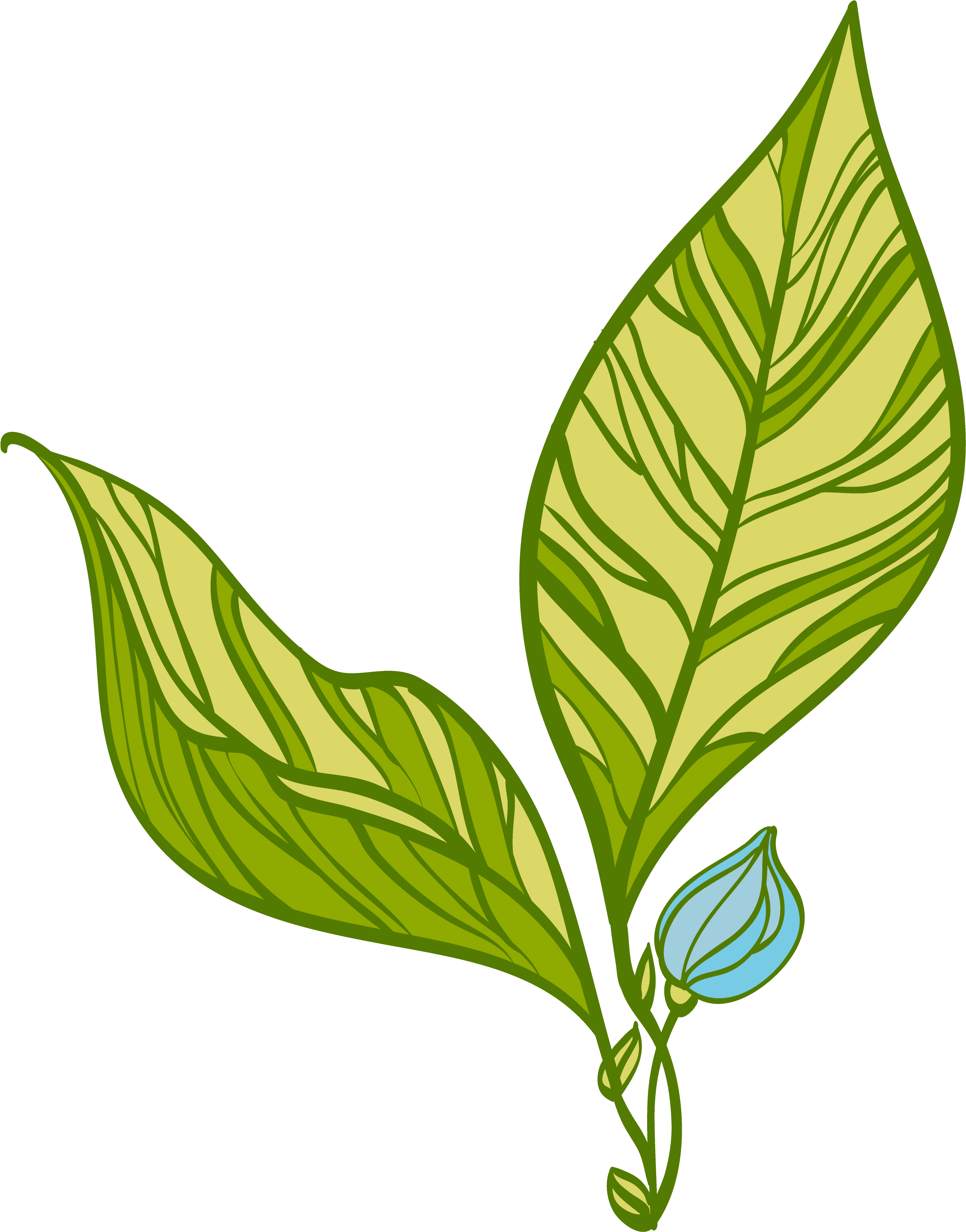 The Phc Wellness Center Is Located In The Orange House - The Phc Wellness Center Is Located In The Orange House (4167x4167)