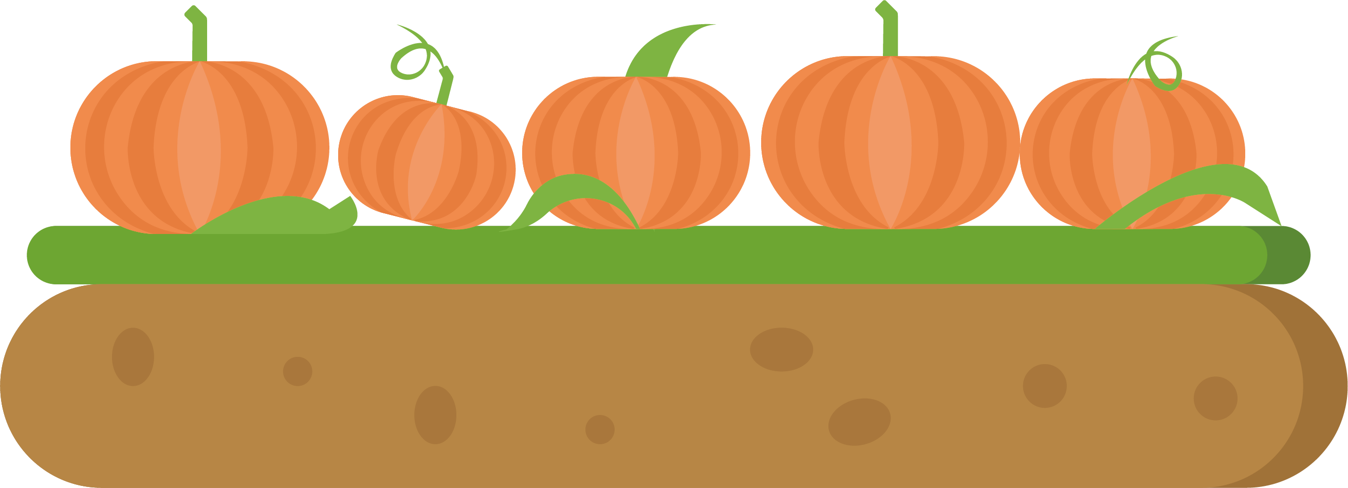 Pumpkin Calabaza Adobe Illustrator - Pumpkin Calabaza Adobe Illustrator (2623x949)