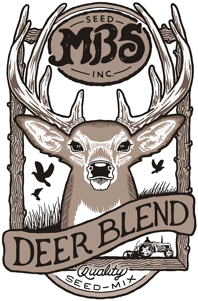 Popular Products - Popular Products (1000x1000)