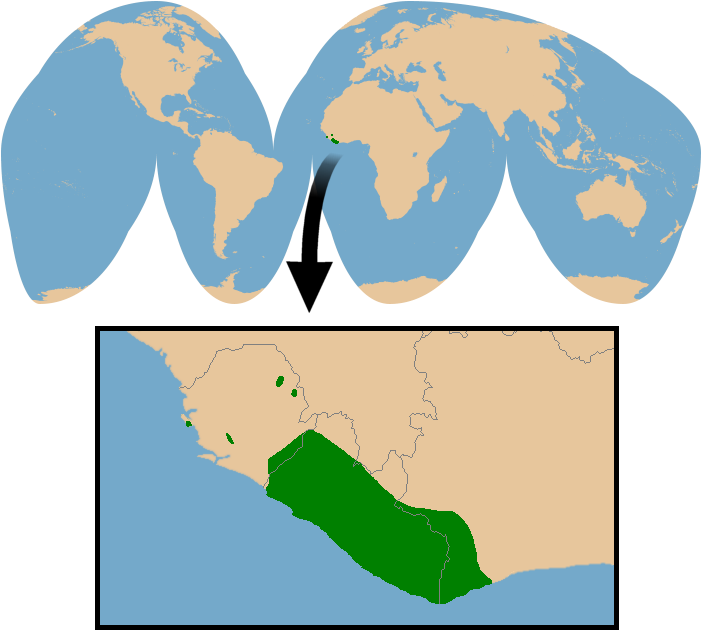 Conservation Status - Conservation Status (700x650)