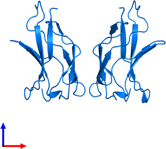 <div Class='caption-body'>pdb Entry 1bft Contains 2 - <div Class='caption-body'>pdb Entry 1bft Contains 2 (800x800)