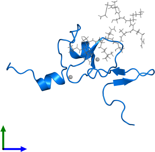 <div Class='caption-body'>pdb Entry 2k17 Contains 1 - <div Class='caption-body'>pdb Entry 2k17 Contains 1 (800x800)