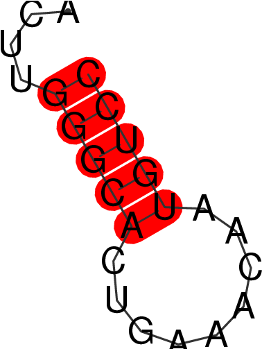Transcripts For Mir635 Gene - Transcripts For Mir635 Gene (502x502)