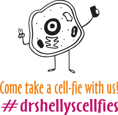 Brand New To Our Midlothian Office - Brand New To Our Midlothian Office (411x402)