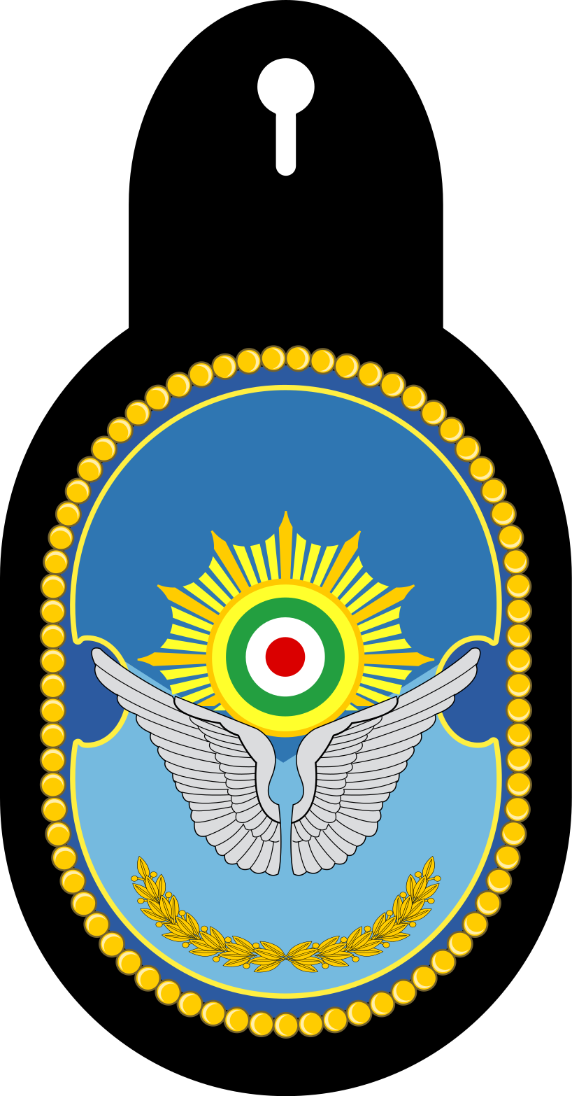 File Air Specialty Course Badge Svg Wikimedia Commons - File Air Specialty Course Badge Svg Wikimedia Commons (818x1566)