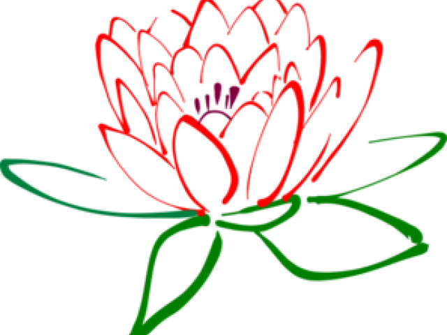 Lotus Clipart Red Lotus - Lotus Clipart Red Lotus (640x480)