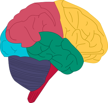Intelligent People Possess Unique Traits That Are Generally - Intelligent People Possess Unique Traits That Are Generally (356x340)