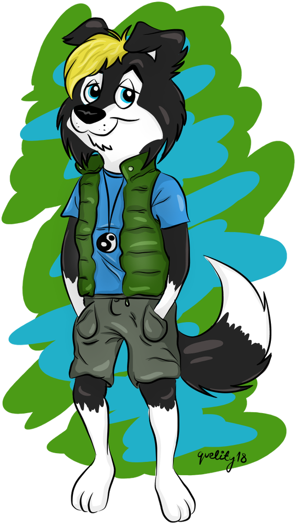 Border Collie - Border Collie (600x1067)