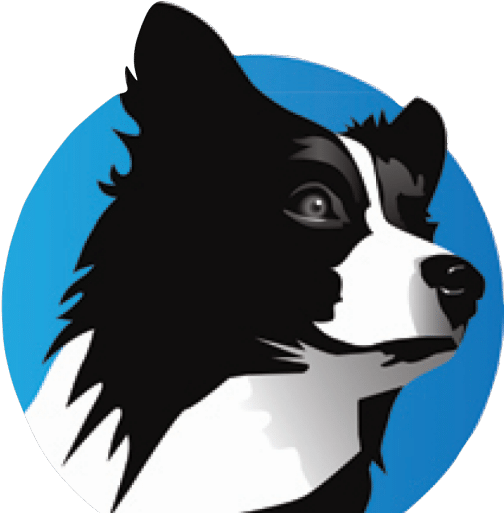 Salty Dog Technology - Salty Dog Technology (512x512)