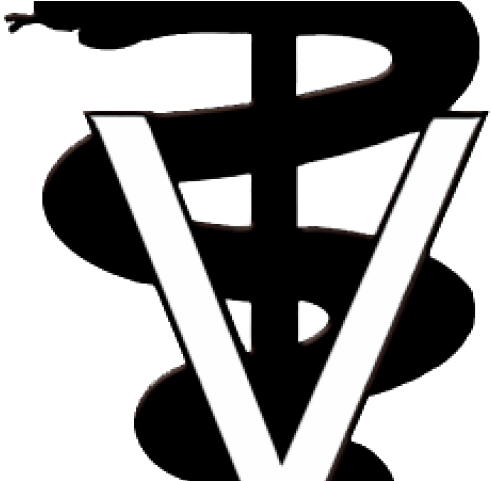 Medical Clipart Vet - Medical Clipart Vet (640x480)