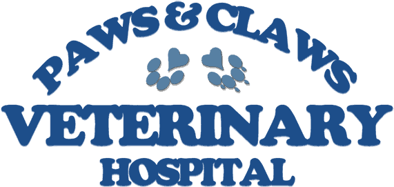 Hospital Clip Art Veterinarian Fl Tallahassee Paws - Hospital Clip Art Veterinarian Fl Tallahassee Paws (600x288)