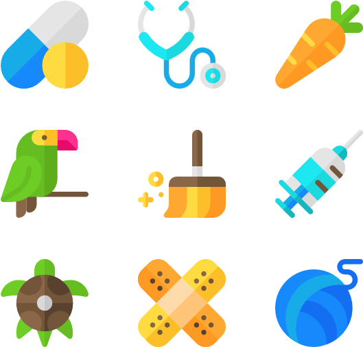 Pet Shop - Pet Shop (600x564)