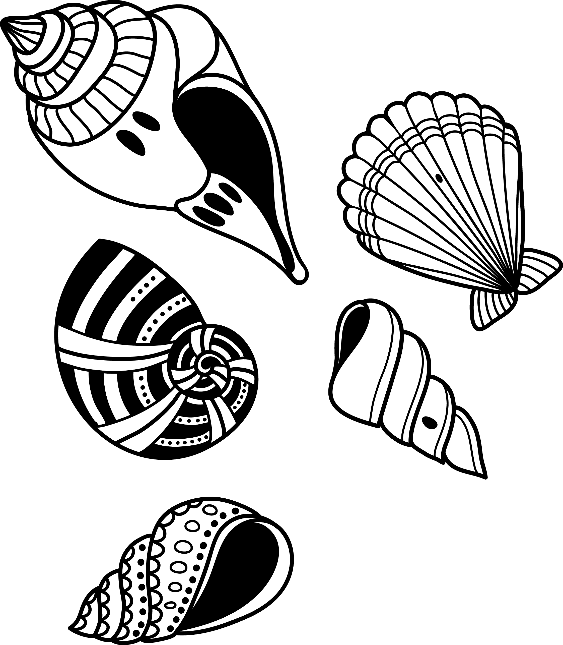 Seashell Shell Transprent Png Free Download Monochrome - Seashell Shell Transprent Png Free Download Monochrome (2244x2569)