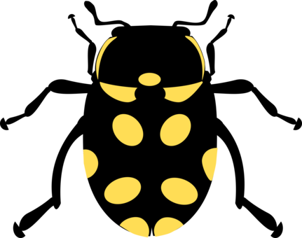 Ladybird Beetle Computer Icons Drawing Line Art - Ladybird Beetle Computer Icons Drawing Line Art (431x340)