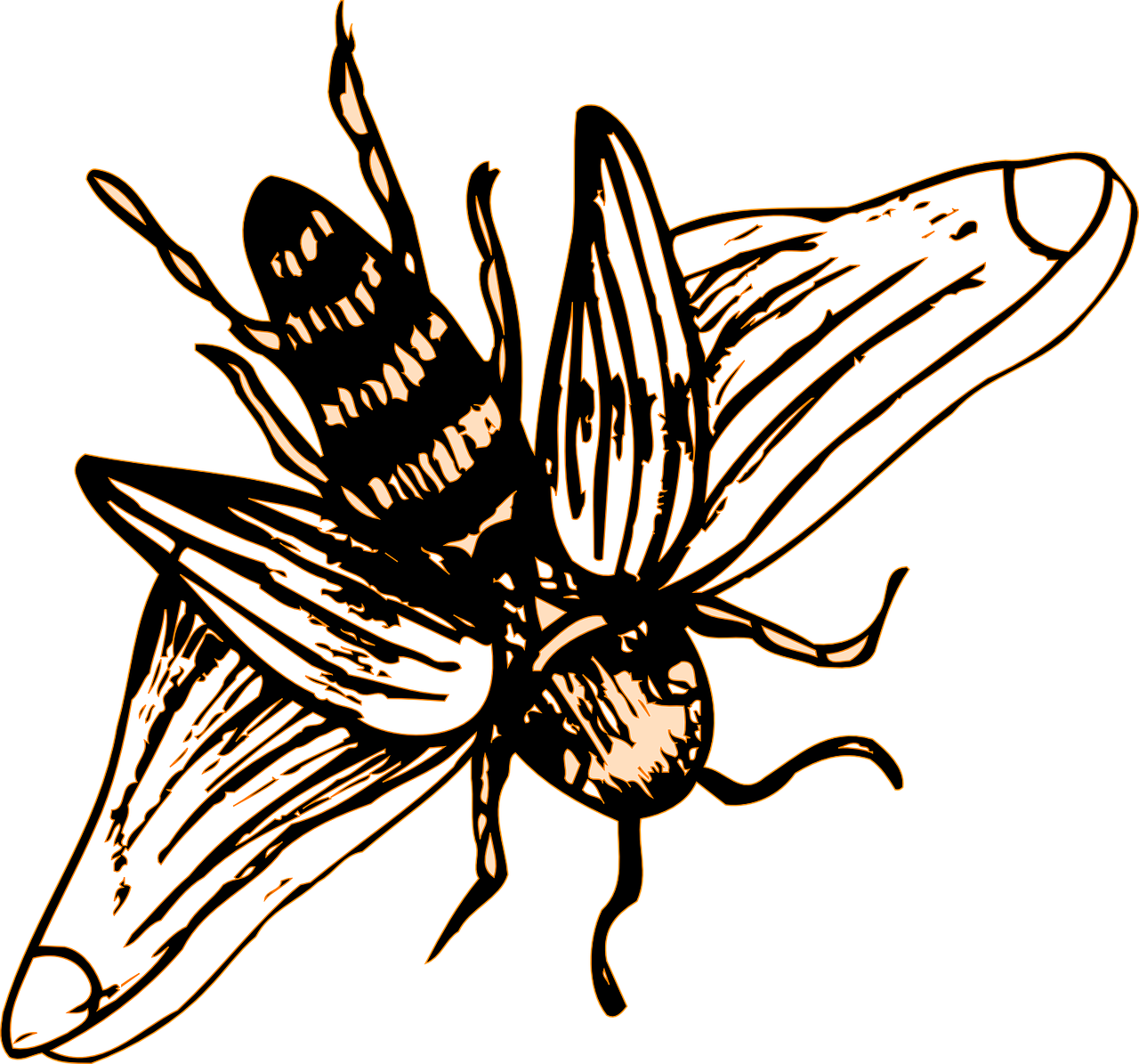 Bee Stripes Wings Transparent Image Pinterest - Bee Stripes Wings Transparent Image Pinterest (1280x1195)