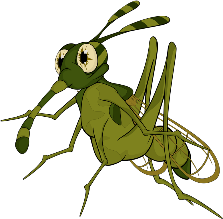 Insects Clipart Insect Grasshopper - Insects Clipart Insect Grasshopper (800x787)