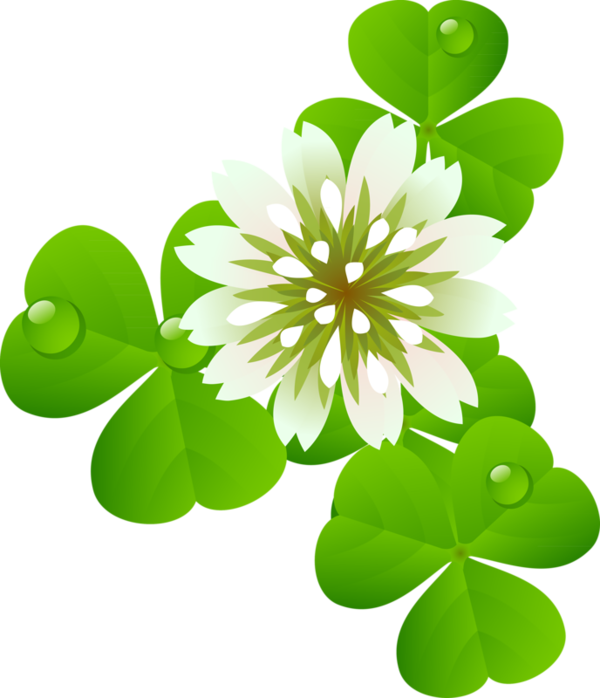 Image Du Blog Zezete2 - Image Du Blog Zezete2 (600x698)