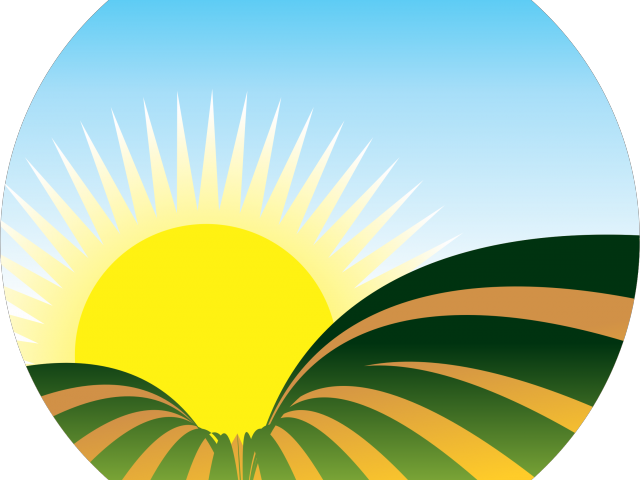 Sun Rising Graphic Black - Sun Rising Graphic Black (640x480)