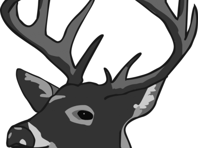 Dear Clipart Deer Silhouette - Dear Clipart Deer Silhouette (640x480)