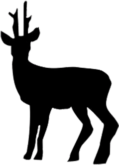Deer Clipart Deer Meat - Deer Clipart Deer Meat (496x359)