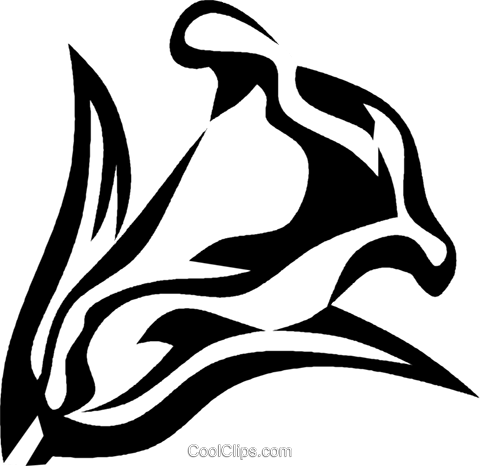 Calla Lily Royalty Free Vector Clip Art Illustration - Calla Lily Royalty Free Vector Clip Art Illustration (480x466)