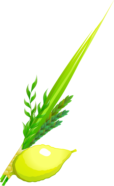 Gematria Words - Sukkot - Gematria Words - Sukkot (459x747)