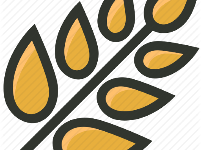 Wheat Clipart Rice Grain - Wheat Clipart Rice Grain (640x480)