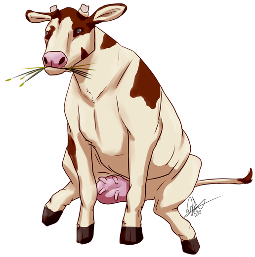 Sitting Cow By Hellishcurio - Sitting Cow By Hellishcurio (600x595)