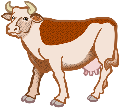 Cow Clipart Gambar - Cow Clipart Gambar (500x483)