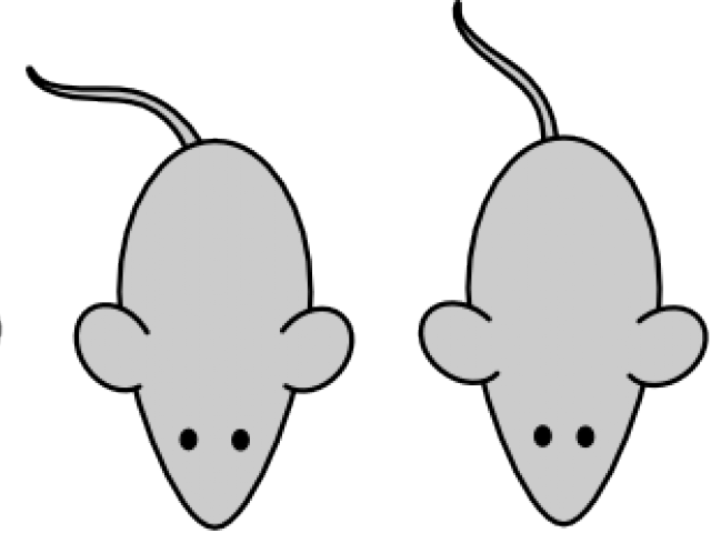 Mouse Clipart Laboratory - Mouse Clipart Laboratory (640x480)
