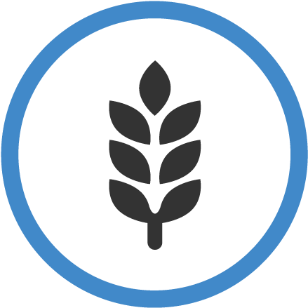 Contains Essential Vitamins And Organic Trace Minerals, - Contains Essential Vitamins And Organic Trace Minerals, (448x446)