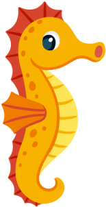 Cute Seahorse - Cute Seahorse (360x360)
