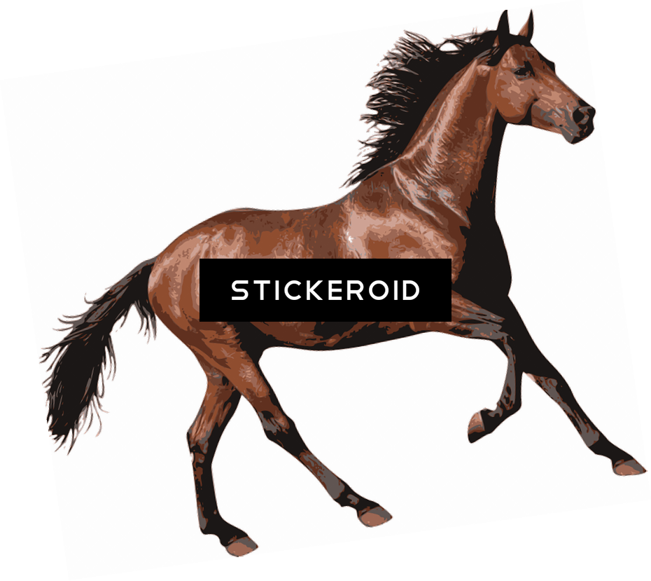Brown Race Horse - Brown Race Horse (930x829)
