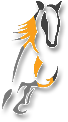 The New Eagerness Of Harness Racing - The New Eagerness Of Harness Racing (507x500)