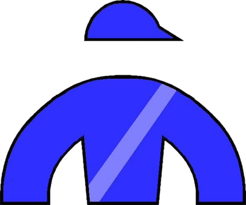 Aiken Thoroughbred Racing Hall Of Fame & Museum - Aiken Thoroughbred Racing Hall Of Fame & Museum (800x669)