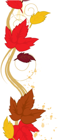 Flowers Borders Clipart Landscape - Flowers Borders Clipart Landscape (640x480)