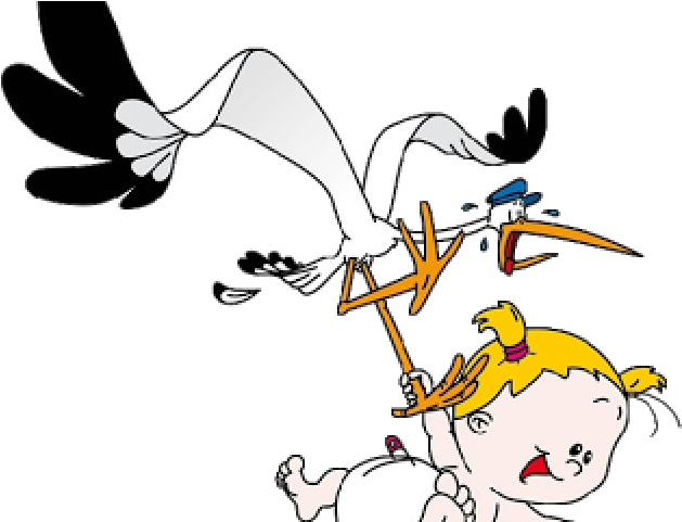 Stork Clipart Baby Transparent Background - Stork Clipart Baby Transparent Background (640x480)