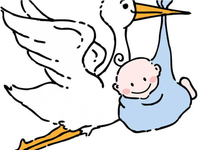 Stork Clipart Adoption - Stork Clipart Adoption (640x480)