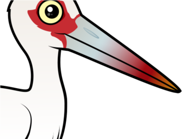 Crane Clipart Stork Bird - Crane Clipart Stork Bird (640x480)