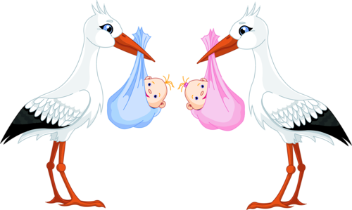Png Download Twins Clipart Stork - Png Download Twins Clipart Stork (500x299)