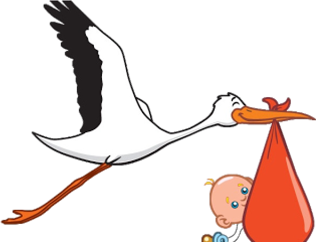 Stork Clipart Baby Transparent Background - Stork Clipart Baby Transparent Background (640x480)