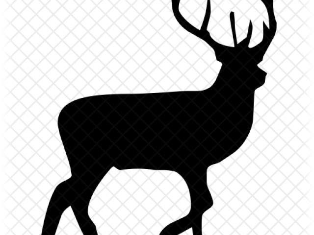 Wildlife Clipart Swamp - Wildlife Clipart Swamp (640x480)