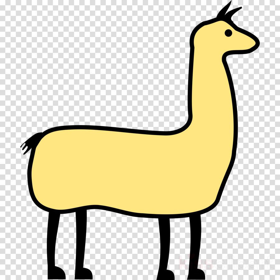Clip Art Llama Clipart Llama Alpaca Clip Art - Clip Art Llama Clipart Llama Alpaca Clip Art (900x900)