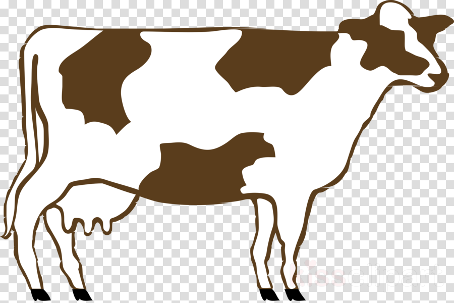 In Wildlife By Thecvntnews - In Wildlife By Thecvntnews (900x600)