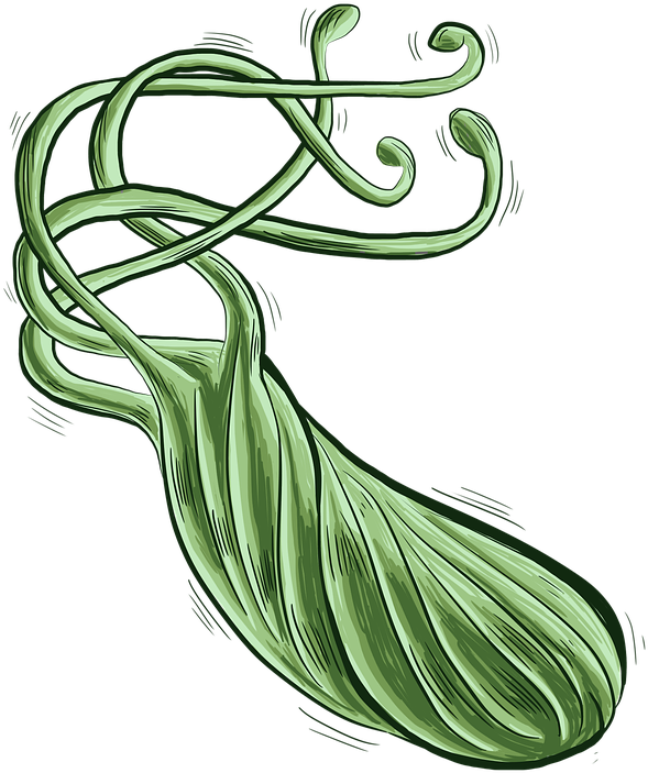 How Did I Get A Helicobacter Pylori Infection Is H - How Did I Get A Helicobacter Pylori Infection Is H (720x720)
