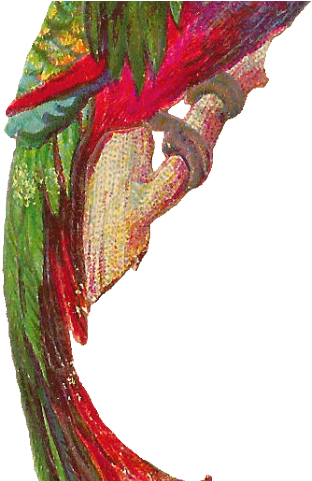 Quetzal Clipart Guatemala Bird - Quetzal Clipart Guatemala Bird (640x480)